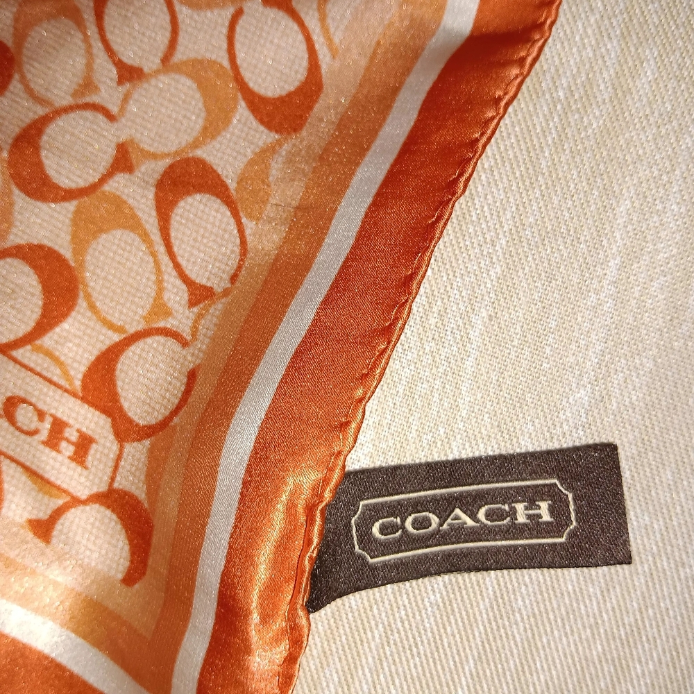 Skinny Coach Silk Scarf